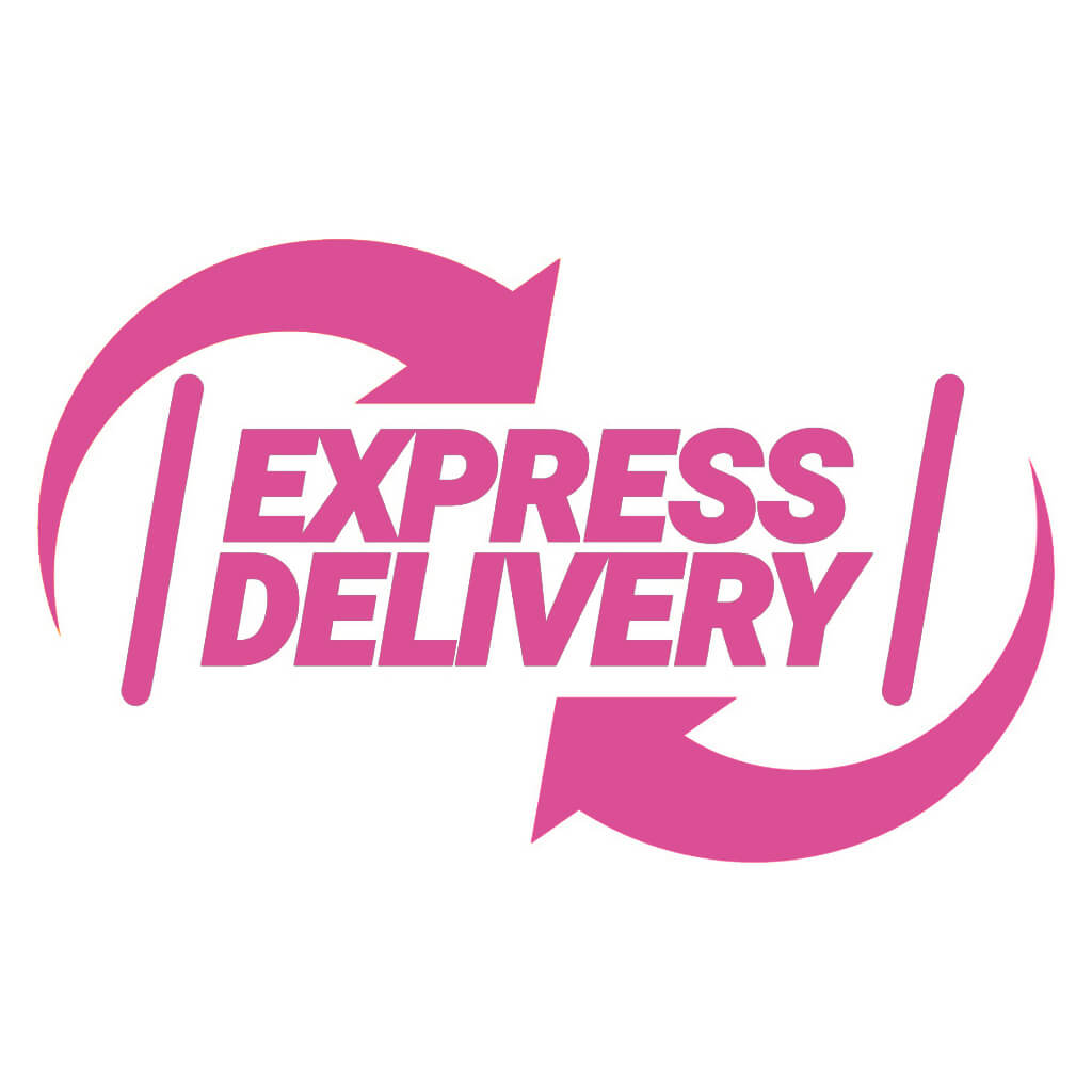 Fast delivery logo, png | PNGWing